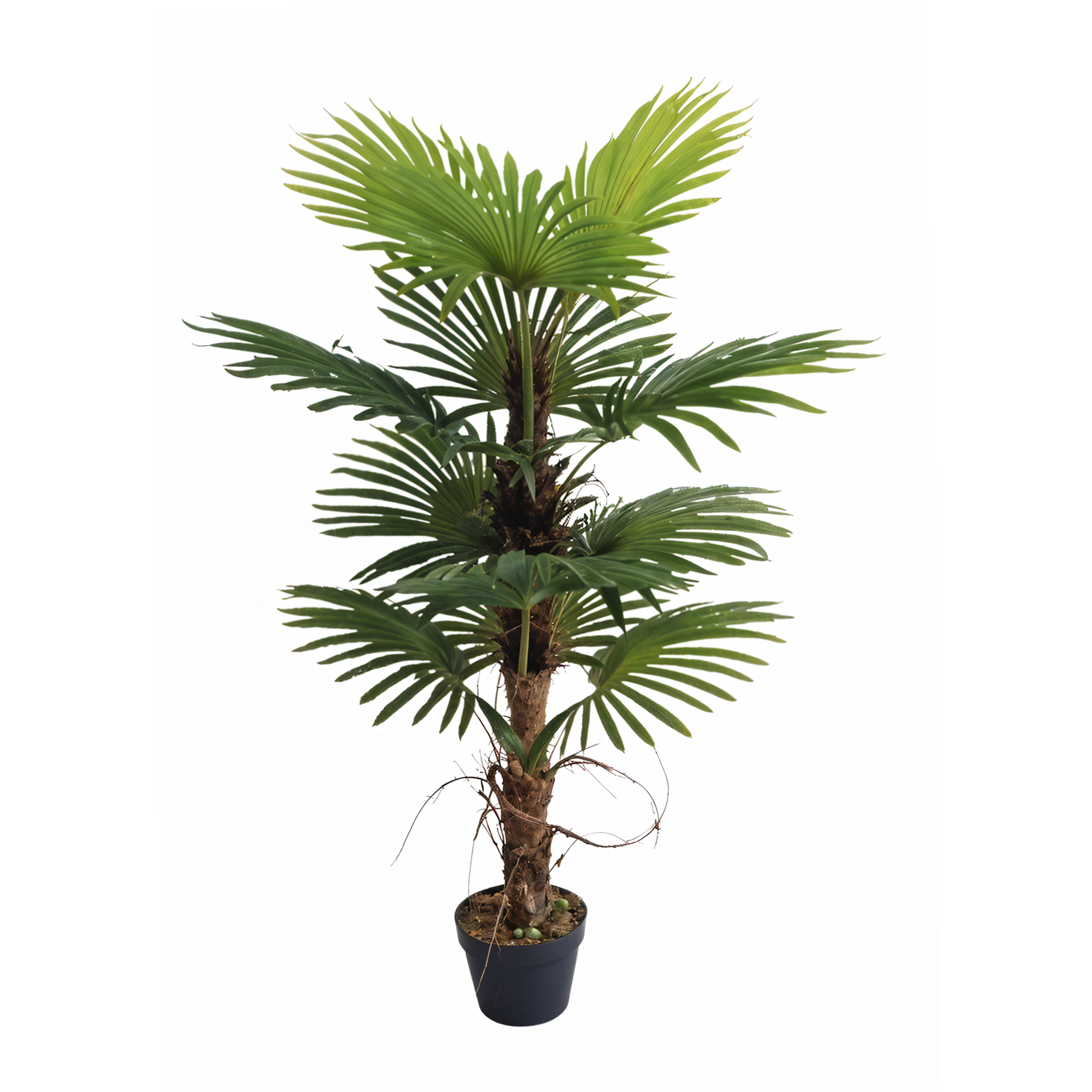 Artificial Fan Palm Plant-4ft