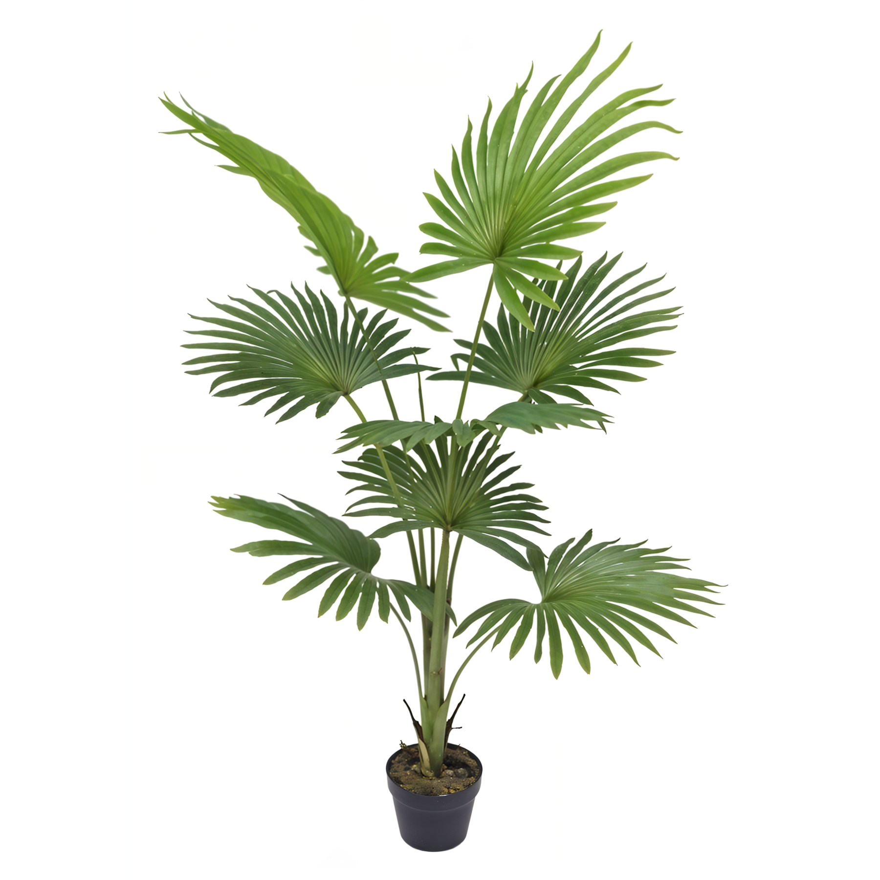 Artificial Fan Palm Plant-4ft