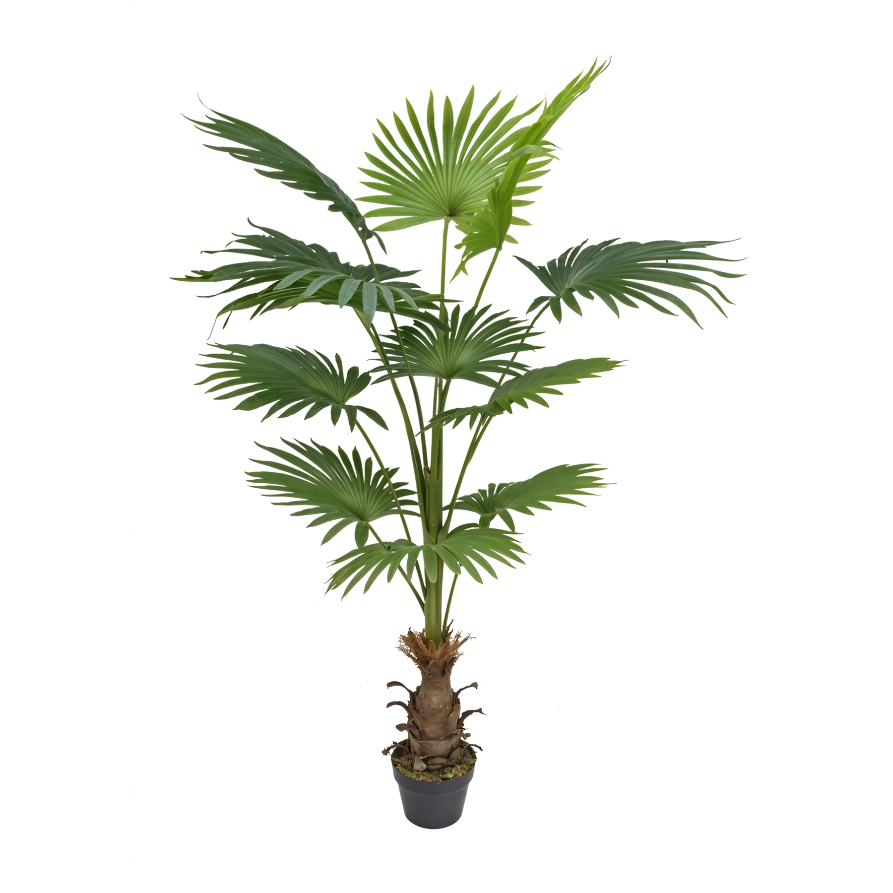 Artificial Fan Palm Plant-5ft