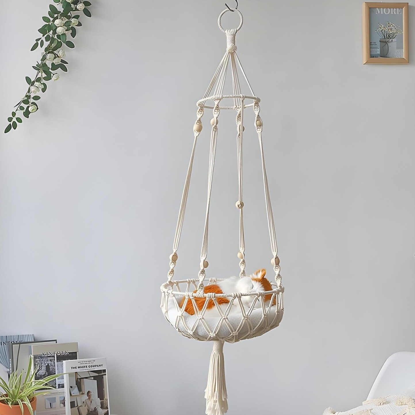 CloudNest Swing