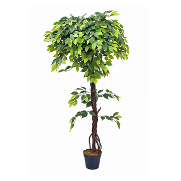 Artificial  Ficus Benjamina Tree 5.5 Ft