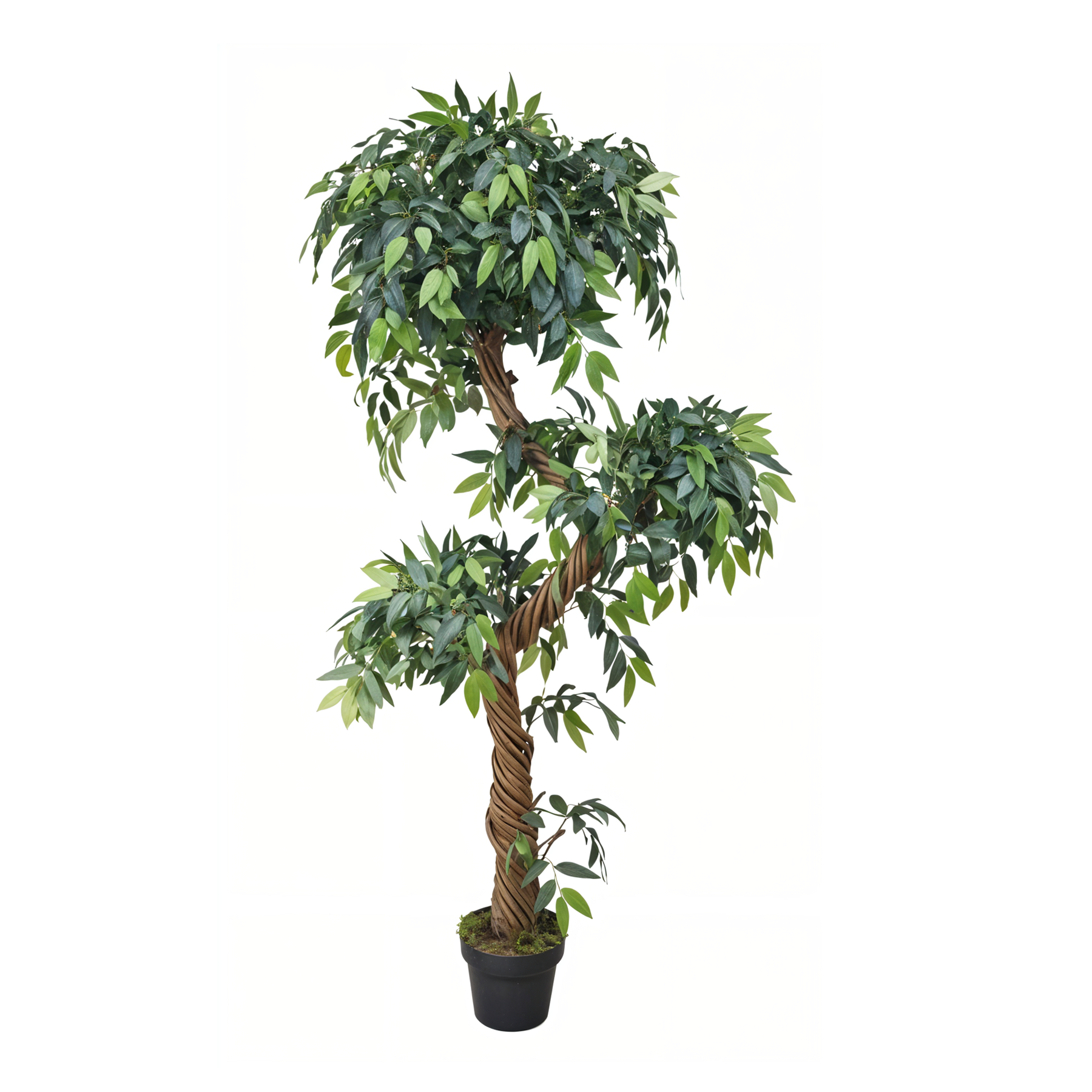 Artificial Eucalyptus Tree 5.5 Ft