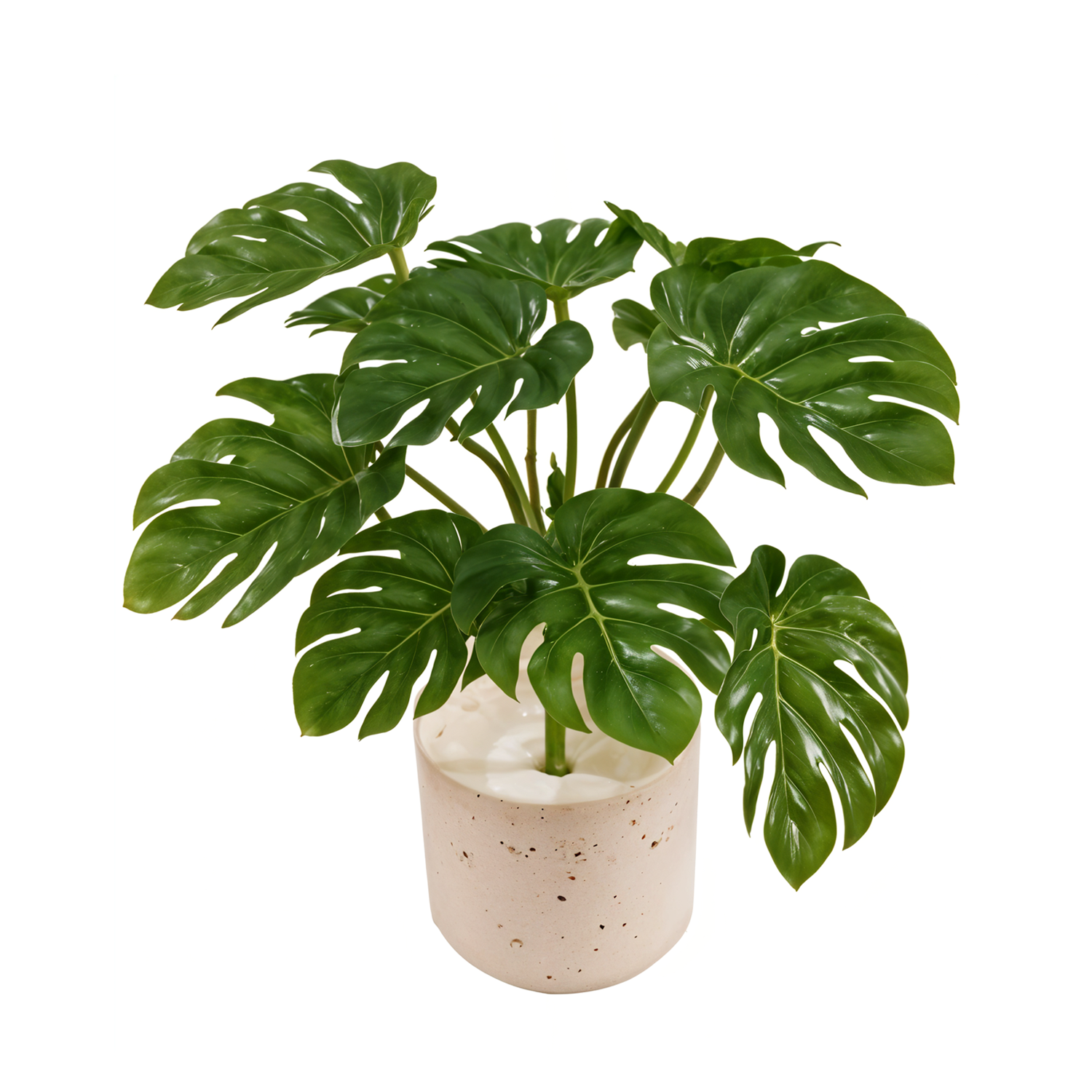 Artificial Mini Monstera 1 Ft