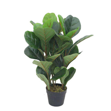 Artificial Fiddle Plant