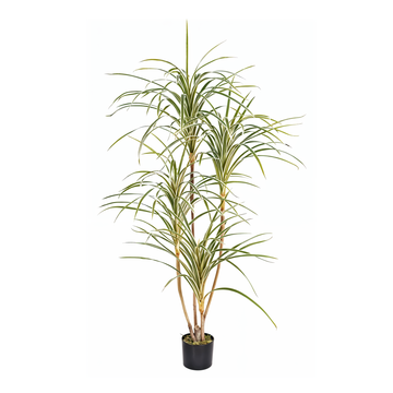 Artificial Dracaena White 4.1ft