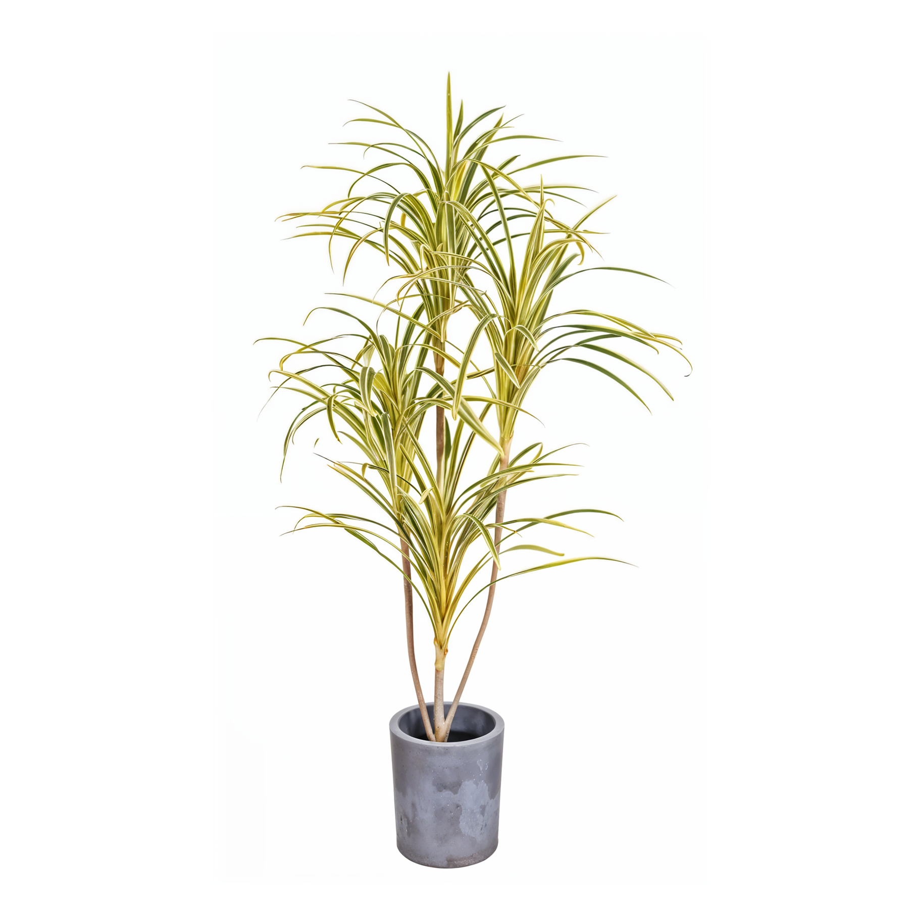 Artificial Dracaena Yellow 4.1Ft