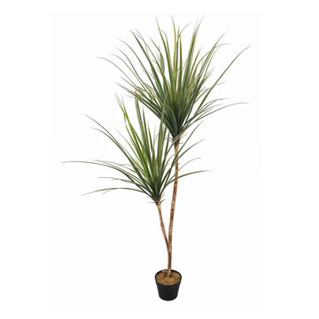 Artificial Dracaena 5Ft