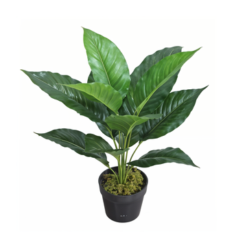 Artificial Anthurium 1.8Ft