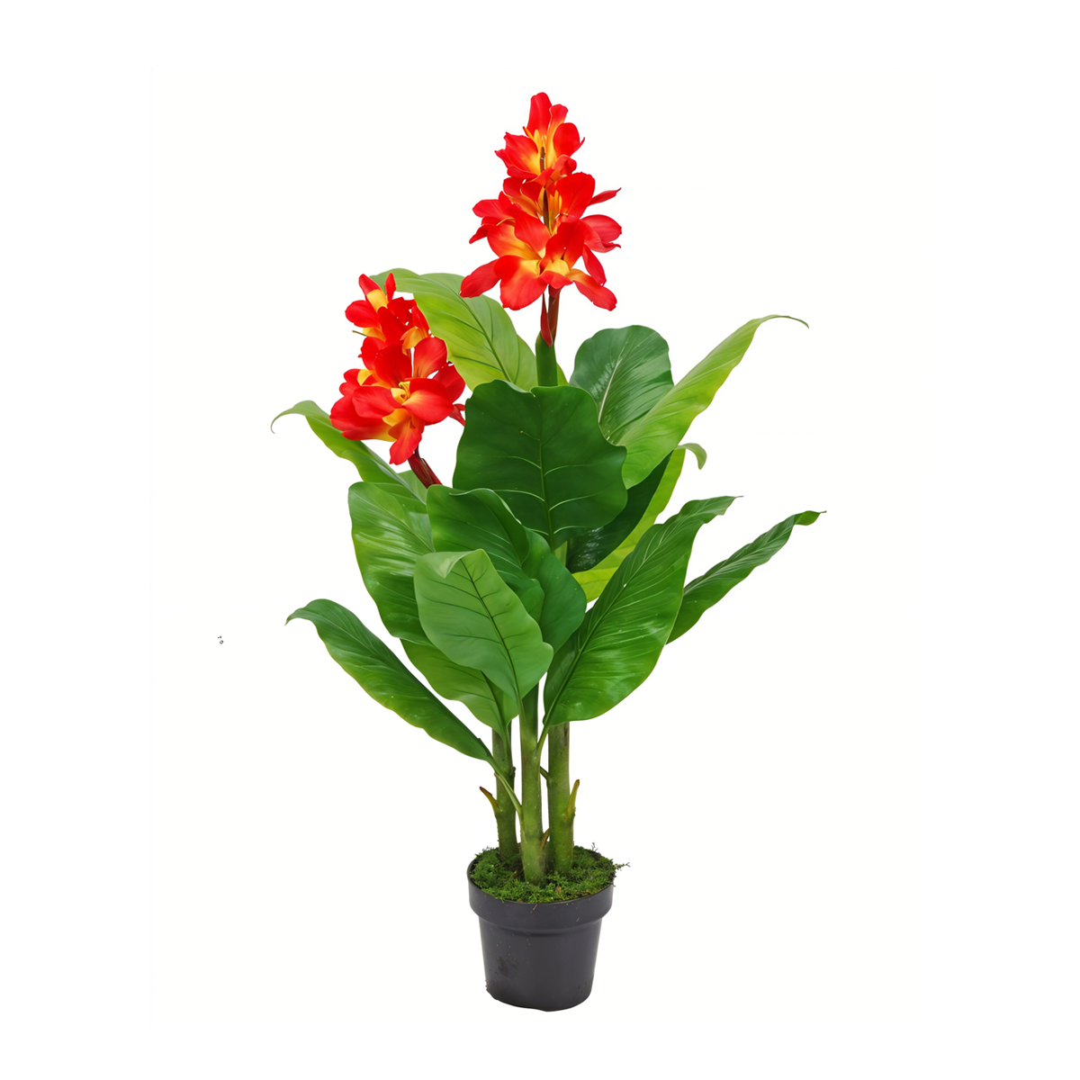 Artificial Canna Lilly Plant - Red