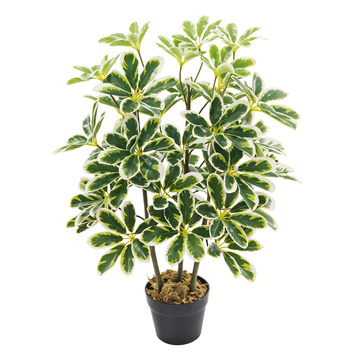 Artificial Variegated Schefflera 2.5ft