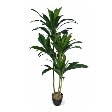 Artificial Dracaena